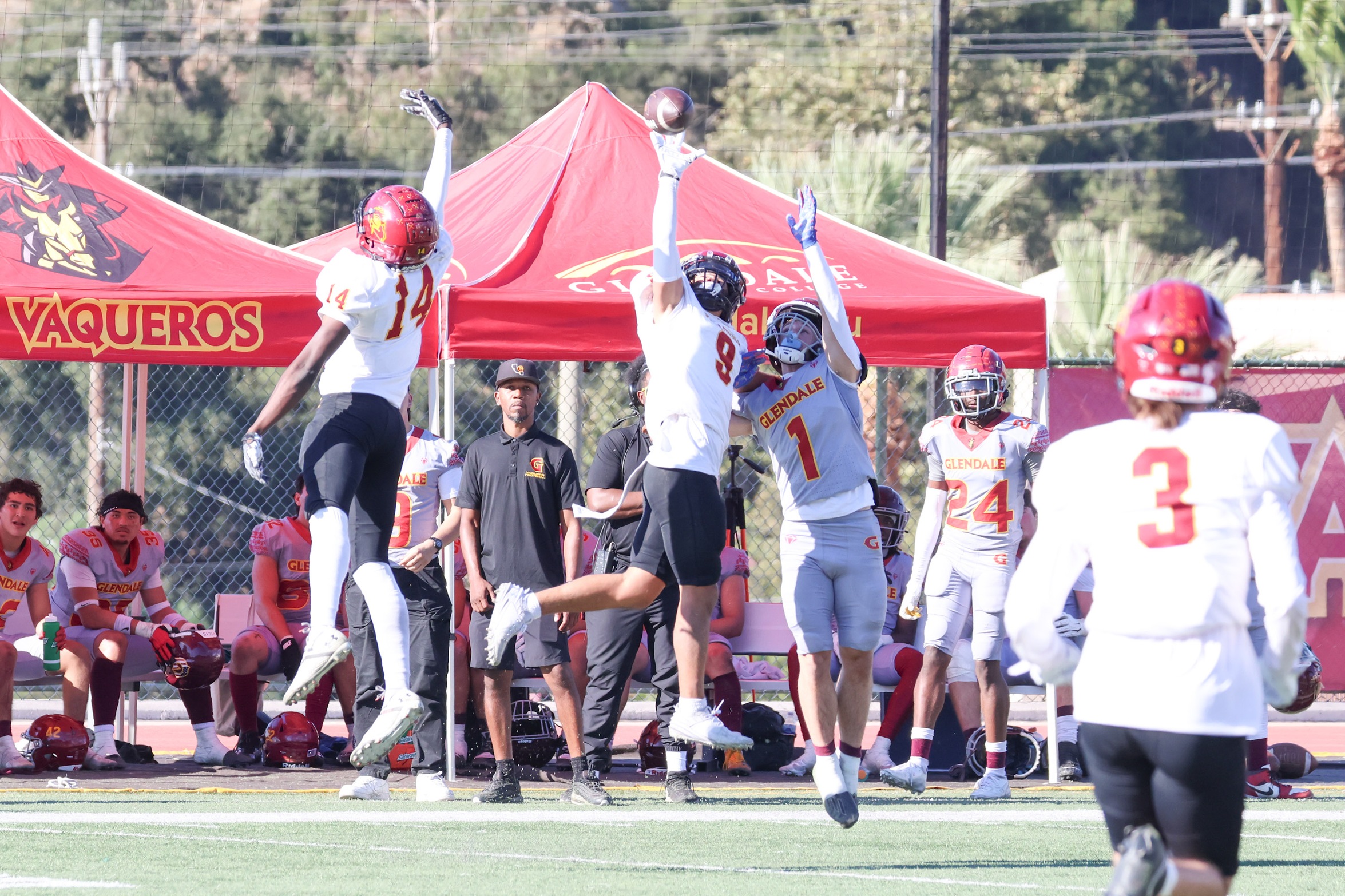 Idrique Carmichael breaks up a pass during PCC's win at Glendale on Saturday (photo by Richard Quinton).