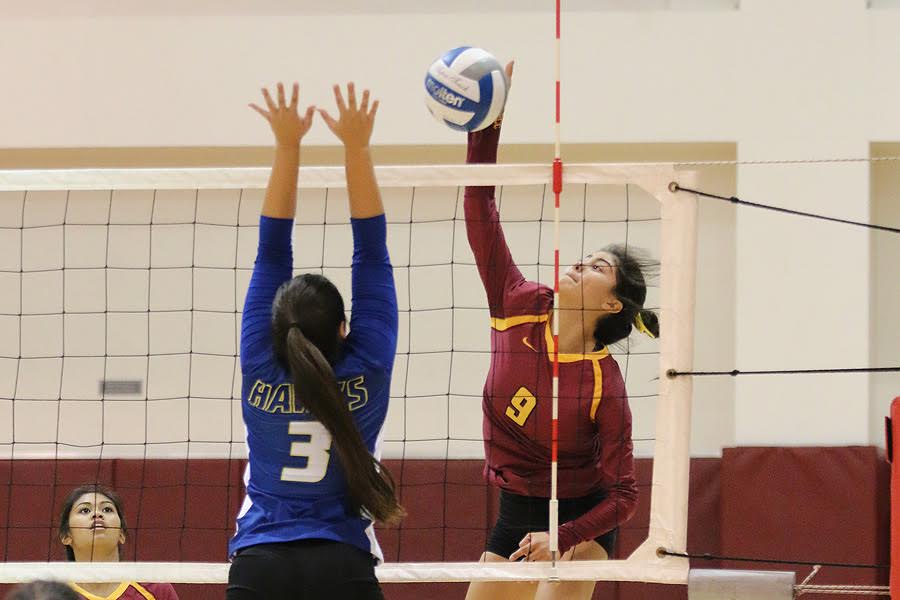 Women's Volleyball 3-0 At Hutto-Patterson Gym
