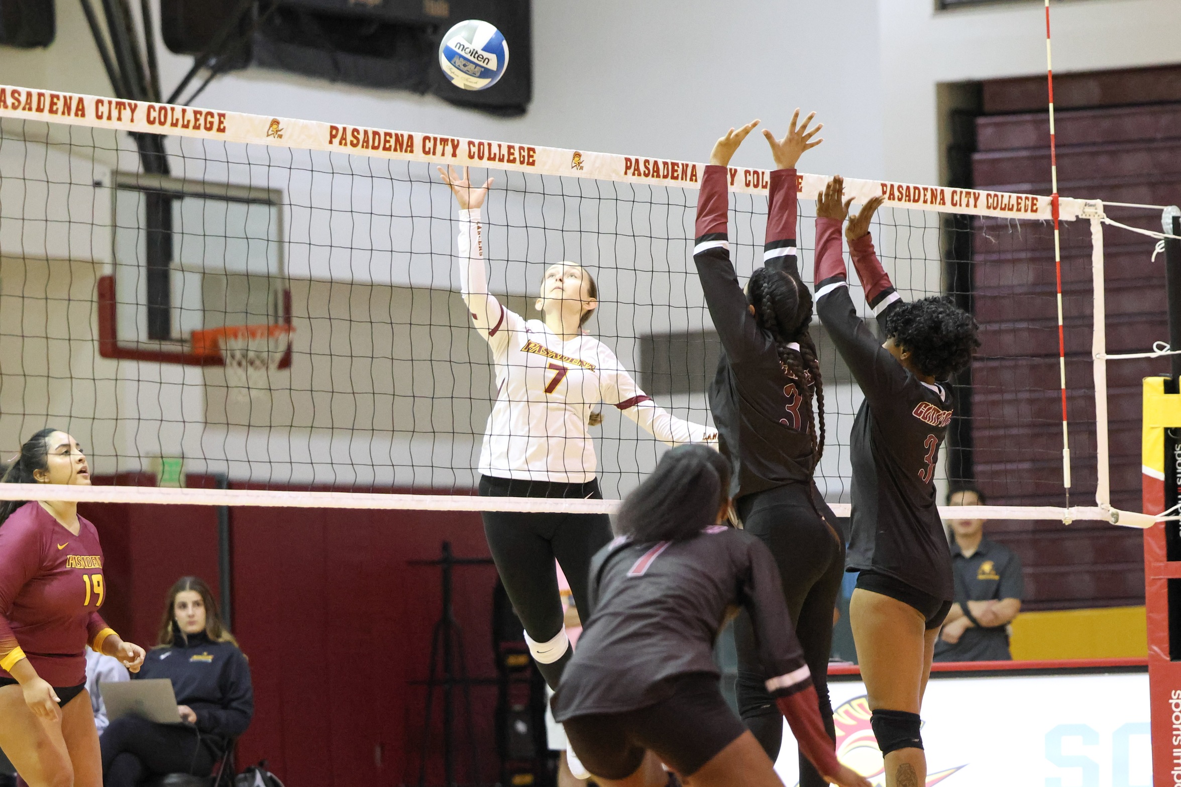 Elena Uribe with the attack in PCC's win on Wednesday (photo by Richard Quinton).
