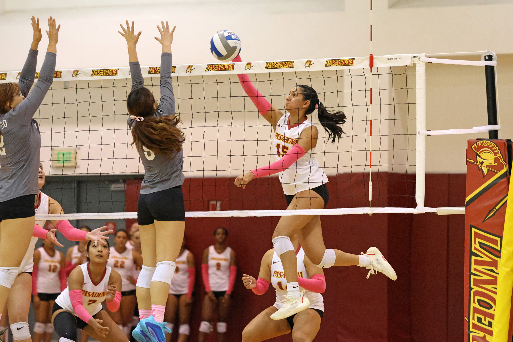 Bobbie Torres in action (photo by Richard Quinton).